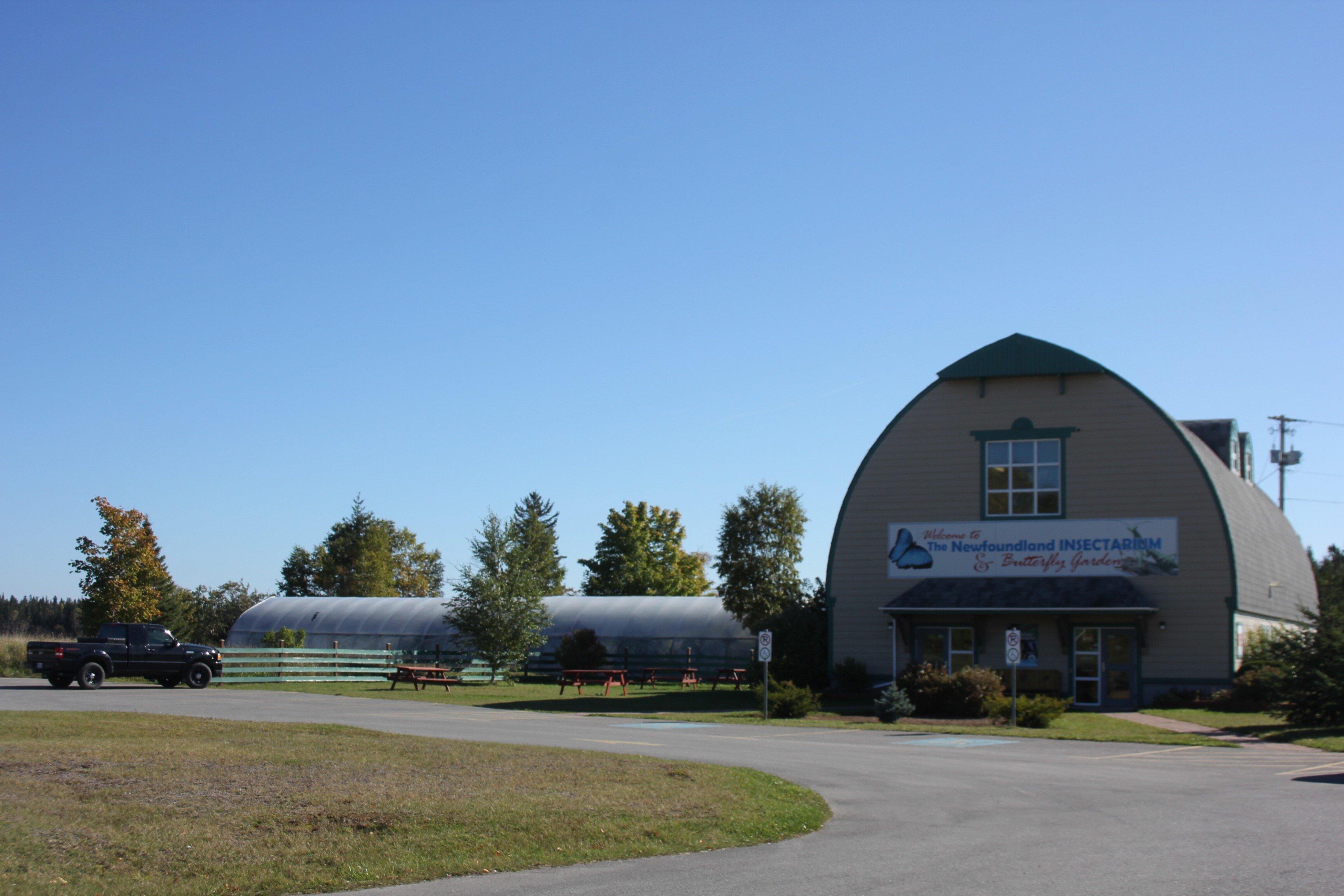 Holiday Inn Express Deer Lake By Ihg Exterior photo